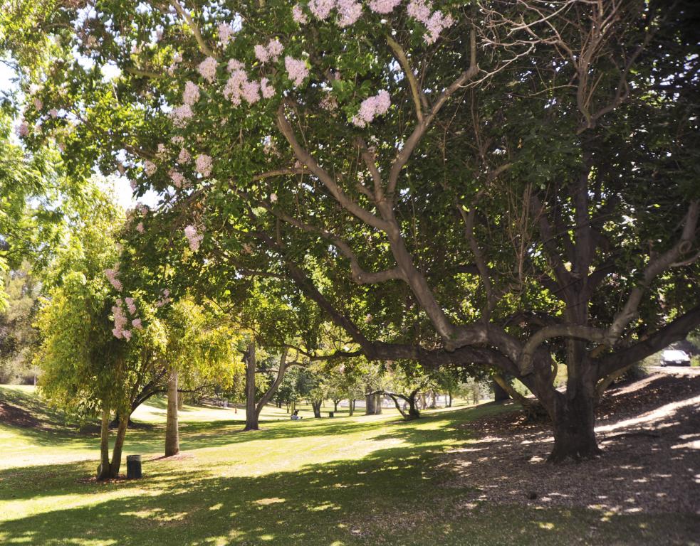 Elysian Park