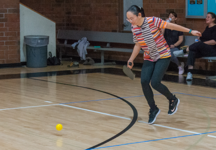 Pickleball Encino